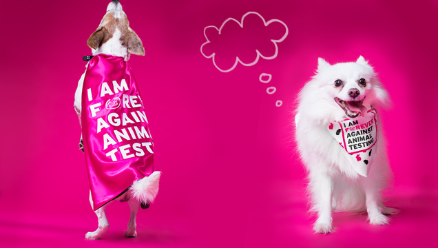 CRUELTY FREE AND FOREVER AGAINST ANIMAL TESTING